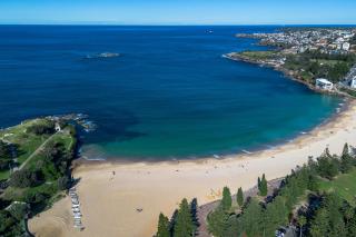 Sleek 1BR Apartment with Skylight near Coogee Beach - 5