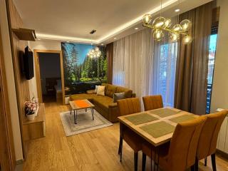 Apartmani Didić Kalman Zlatibor - Zlatibor - 5