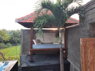 Ubud Dream House Villa - Ubud - 1