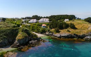 Le Cardinal - Belle-Ile-en-Mer - Sauzon - 0