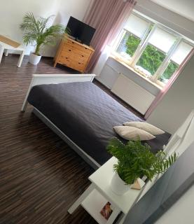 Apartament Gdynia Redłowski Klif - Gdynia - 6