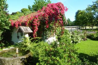 Heissbauer - Wackersberg - 2