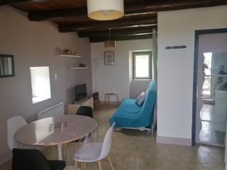 Studio maison en pierre avec terrasse - Rosières - 1