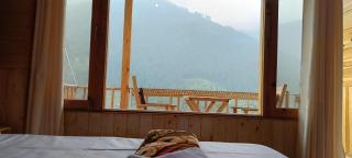 Hill View Homestay Jibhi - Jibhi - 3