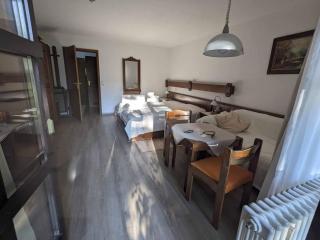 Ferienappartement Bademantelzugang zur Therme - Bad Griesbach im Rottal - 9