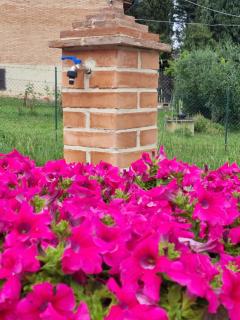 Il Sogno di Andrea - 4