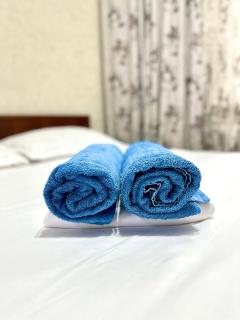 Guest House metro Raimbek - - 4