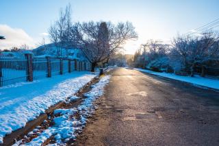 Mrs Simpson - Dullstroom - 6