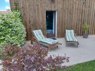 Gîte Cosy Grand confort dans un écrin de verdure - Agudelle - 9