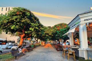Shenkin Street 1BR Apartment - Tel Aviv - 8