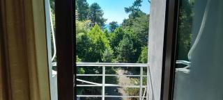 Hotel 288a - Koboeleti - 4