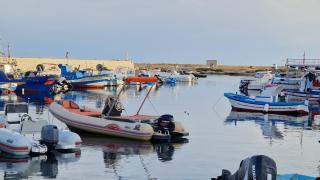Orsola Apartments - Ilha de Favignana - 9