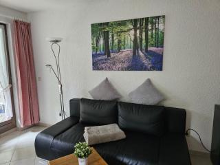 Residenz Schauinsland Todtnauberg - Fewo 17 - Sauna - Spielzimmer für Kinder - Nähe Feldberg - Todtnauberg - 9