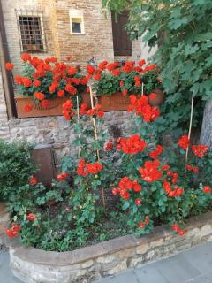 Torre alle Antiche Mura - Montepulciano - 5
