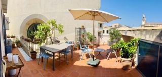 Terrazza Rosa Bianca - Palermo - 7