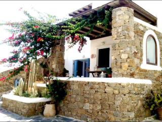 Beautiful Traditional Apt in Ano Mera Mikonos - Ano Mera - 3