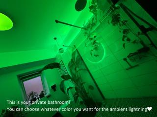 Funkadelic Retreat Transylvania, private room&bath in shared apartment with host&cat - Cluj-Napoca - 8