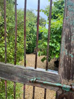 Elm Cottage Barn - Oatlands - 3