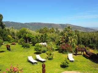 Villa Horses and Nature - Tarifa - 4