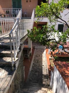 Trigliano - Tellaro - 7
