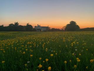 The Chestnuts Country House Boutique B&B - - 2