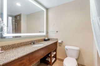 Comfort Suites Merrillville near US 30 - Merrillville - 2
