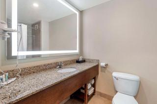 Comfort Suites Merrillville near US 30 - Merrillville - 3