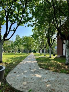 Apartman2 - Podgorica - 8