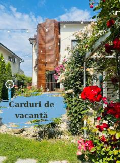 Vila Viorica - Mamaia Nord - Năvodari - 0