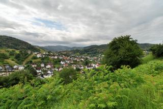 Ferienwohnung Hörth - Bühlertal - 6