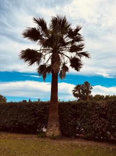 Studio bord de mer - Fréjus - 6