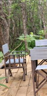 ÑireBosque, casas de pueblo - Villa La Angostura - 6