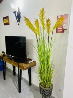 É um Descanso - Campinho - 2