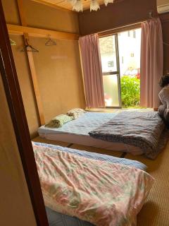 Mason 2 ,direct to Disney,Narita AP, Haneda AP,Asakusa,Sky Tree Tower, Ueno Ueno - 8