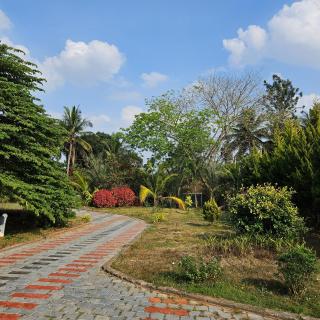 Bridge Point Home Stay - Kushalnagar - 2