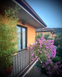 Welcome Traveller DIVINE CÉCILE - Garda - 8