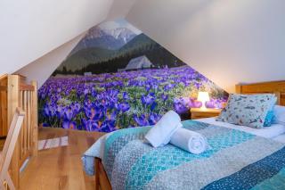 Apartament dwupoziomowy w centrum Zakopanego - Zakopane - 3