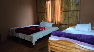 Dj wood cabin - Mawlynnong - 9