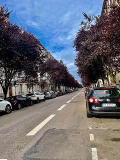 Akwaba Nancy - Nancy - 6
