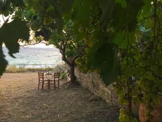 Villa Aphrodite - Kymi - 2
