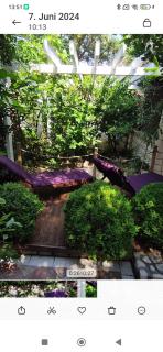 Old House - Ferienhaus - 1