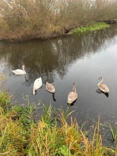 Peipsi Holiday House - 3