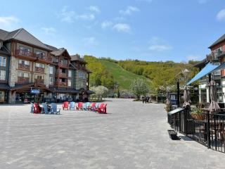 Margaritaville, Lots of Space, Fun and Hot Tub, Gas BBQ - Blue Mountains - 2
