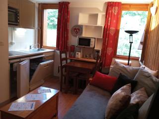 Studio confort 2 pers. avec piscine, sauna et parking à Valloire - FR-1-263-483 - Valloire - 3