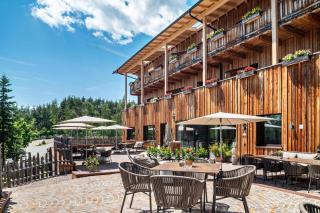 Schartneralm Latsche - 1