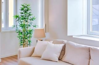 Graceful 1 Bedroom Apartment - G201 - Lissabon - 7