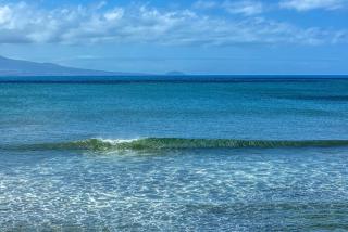 Kanai A Nalu 302 - Wailuku - 7