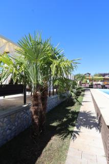 Alexander Resort - 4