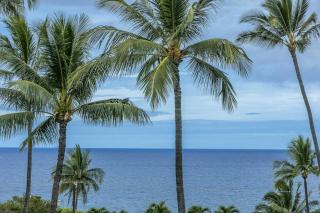 Kihei Akahi Resort - Unit C505 - Wailea - 5