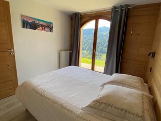 Charmant appartement: 1 ch, parking, WiFi, animaux admis - FR-1-671-13 - Les Gets - 3